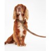 Leather Dog Lead DAC0004 - Brown