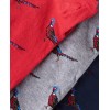 Pheasant Socks Gift Box MGS0033 - Multi