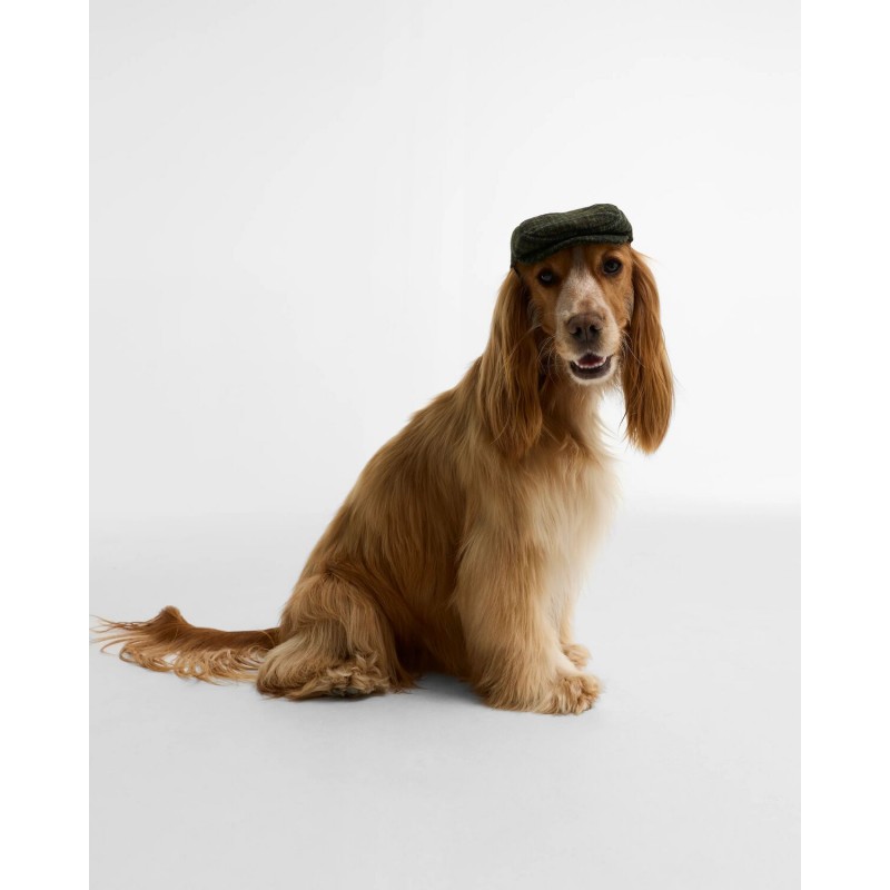 Wilkin Dog Flat Cap DAC0131 - Green Textile