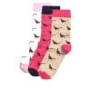 Pheasant Socks LGS0091 - Pink