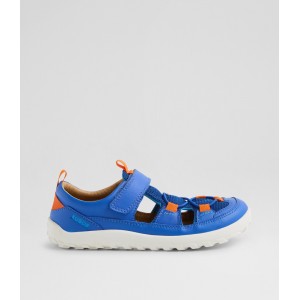 Bobux Kid+ Rocky BQ10586 - Dazzling Blue Leather