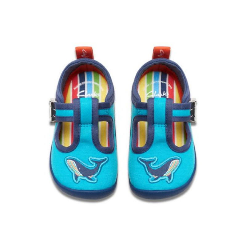Roamer Reef Toddler Canvas Shoes - Blue