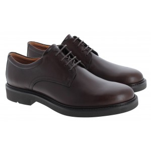 Ecco Metropole London 525604 Shoes - Cocoa Leather