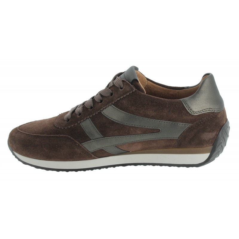 Globe 6032.01 Trainers - Brown Suede
