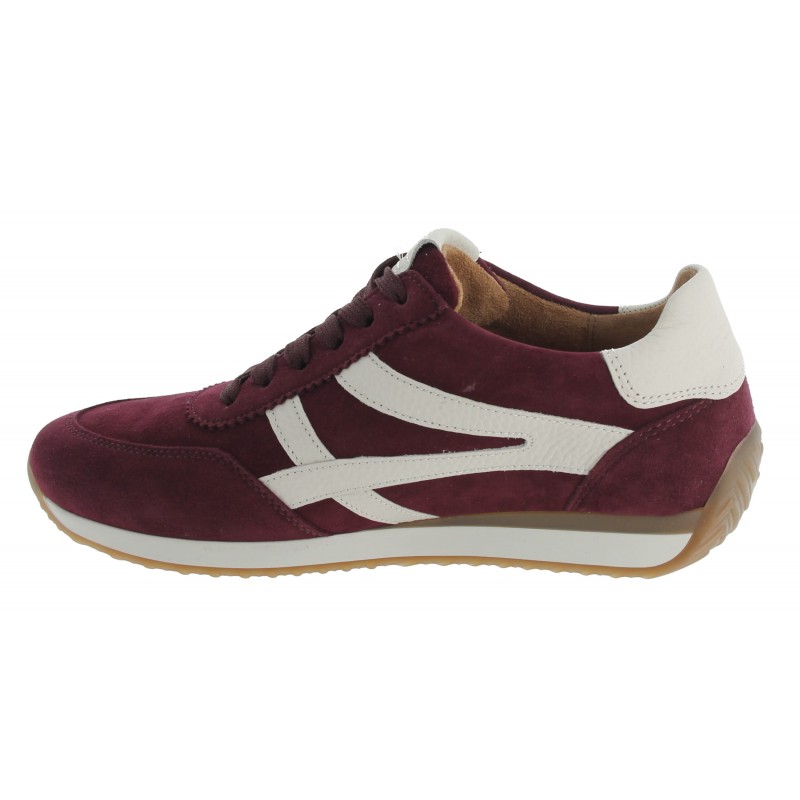 Globe 6032.01 Trainers - Burgundy Suede