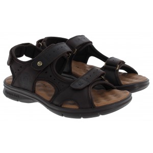 Panama Jack Salton C5 Sandals - Brown Leather