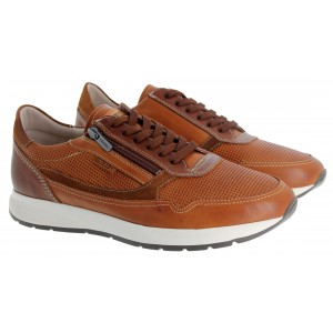 Pikolinos Getafe M2B-6263C1 Trainers - Brandy Leather