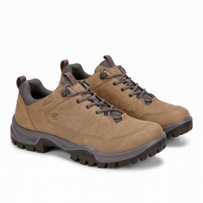 Receptor Trekk M WP 855604 Shoes – Brun Muscade Waxed Brown Leather