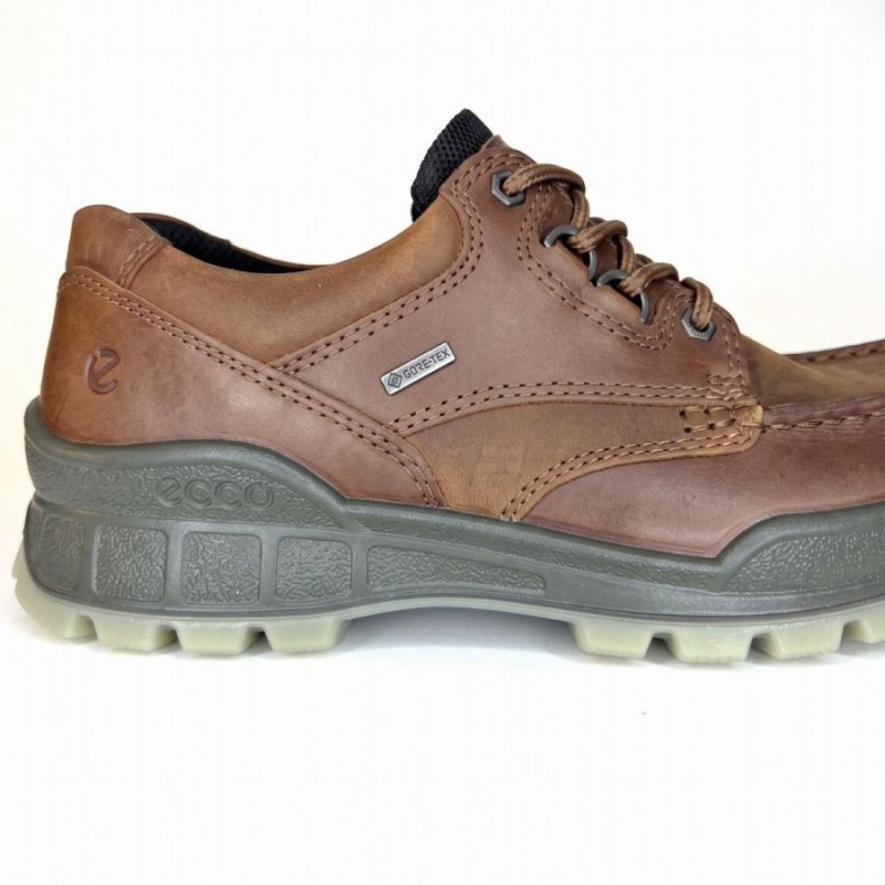 Track 25 Low GTX 831714 Waterproof Shoes - Bison Leather