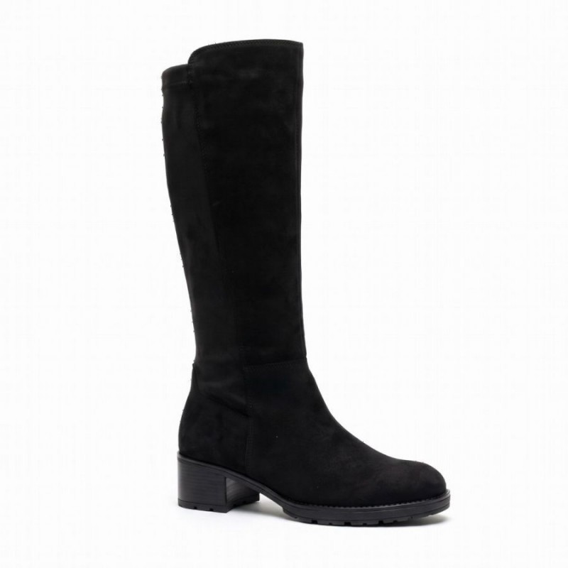 Quiz 8011.03 - Black
