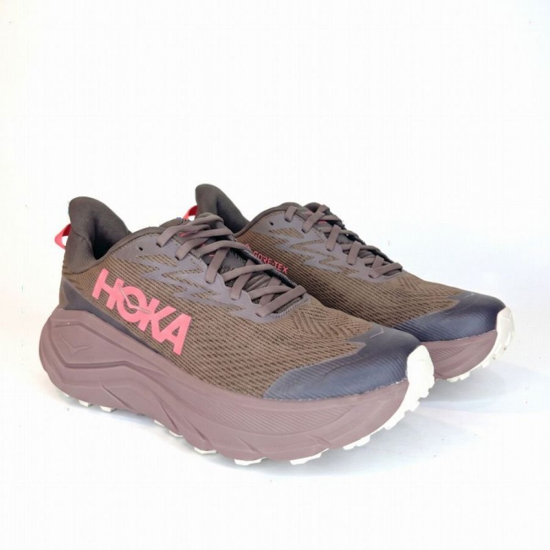 M Challenger 8 GTX 1171958 Trainers - Brown