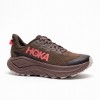 M Challenger 8 GTX 1171958 Trainers - Brown