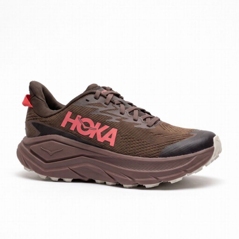 M Challenger 8 GTX 1171958 Trainers - Brown