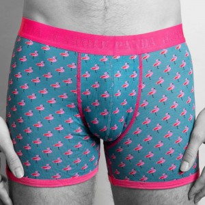 Swole Panda Bamboo Boxers - Flamingos